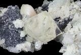 Stilbite, Apophyllite, Calcite and Quartz Association - India #65718-1
